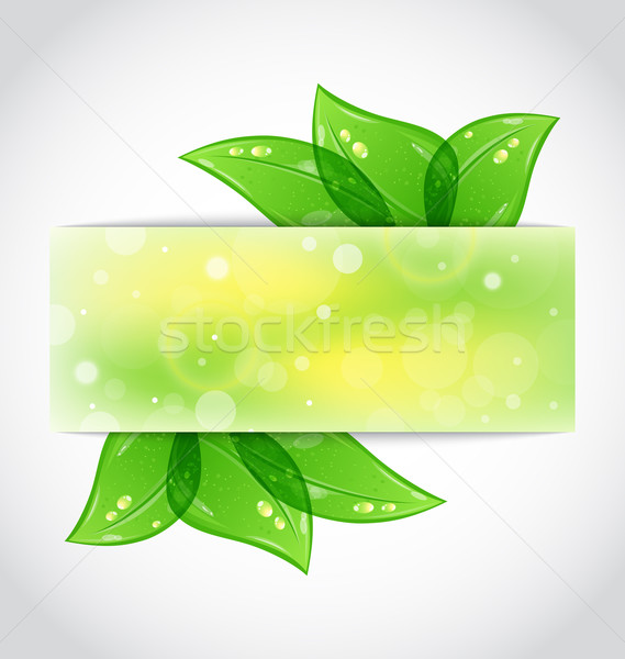 Green leaves sticking out of the cut paper Stock photo © smeagorl