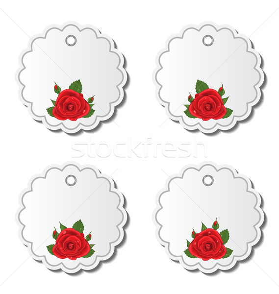 Conjunto belo cartões rosas vermelhas ilustração negócio Foto stock © smeagorl