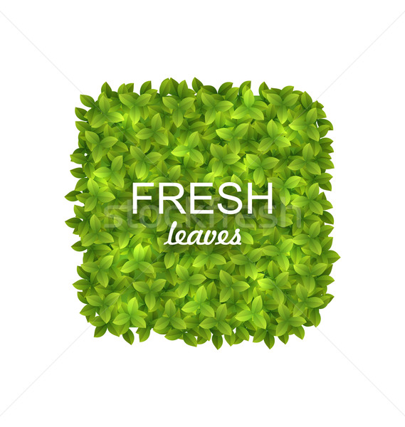 Milieuvriendelijk label groene bladeren illustratie geïsoleerd witte Stockfoto © smeagorl