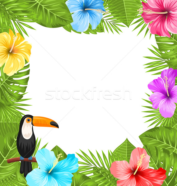 Exotic Jungle Frame with Toucan Bird, Colorful Hibiscus Flowers Blossom Stock photo © smeagorl