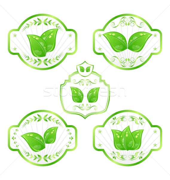Stock photo: Set of green ecological labels with leaves isolated on white bac