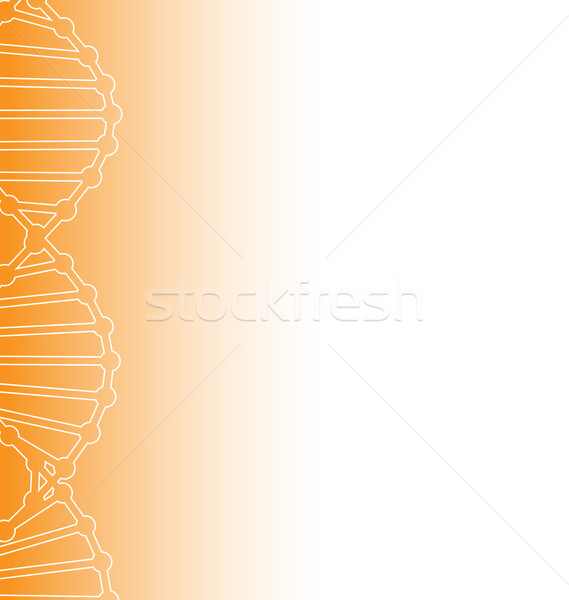 Science Template DNA Molecules Backdrop Stock photo © smeagorl