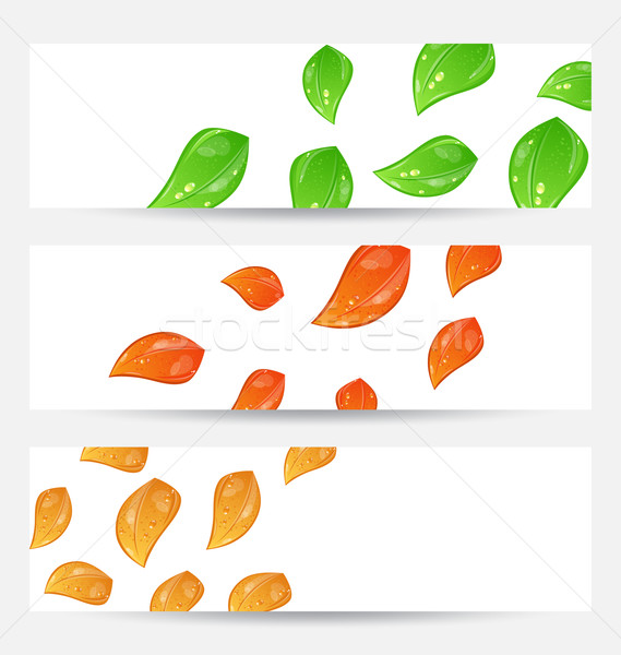Set autumn seasonal cards with changing leaves Stock photo © smeagorl