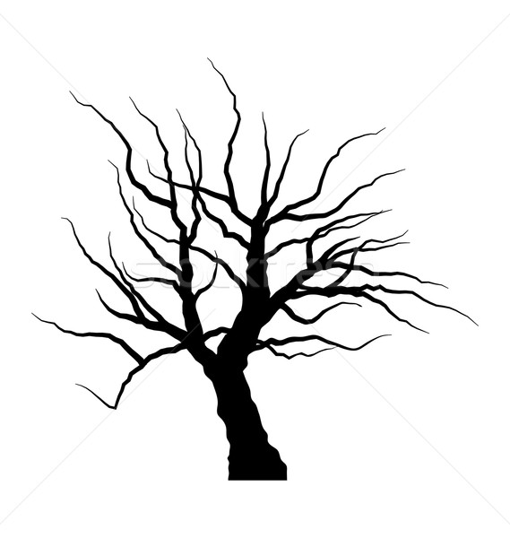 Foto stock: Esboço · dead · tree · folhas · isolado · branco · ilustração