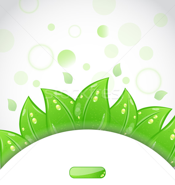 Stock photo: Eco brochure with fresh green leaves and emblem