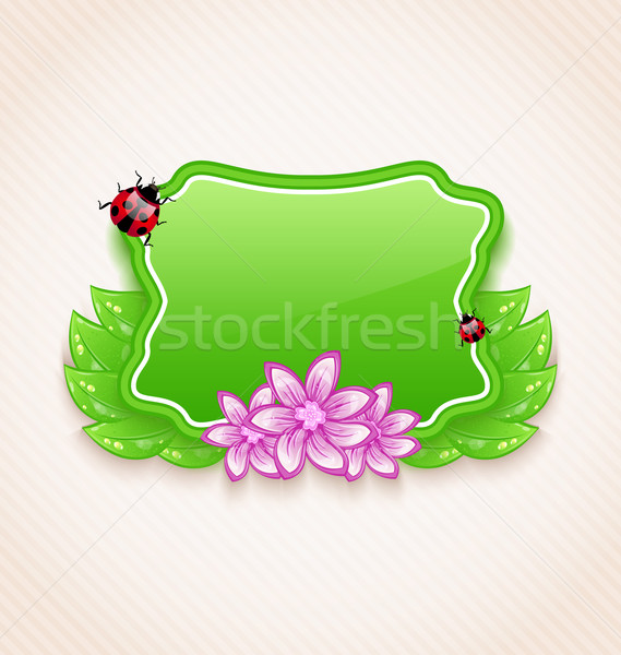 Cute spring card with flower, leaves, lady-beetle Stock photo © smeagorl