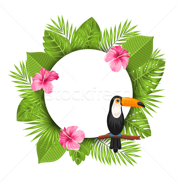 Clean Card with Pink Roses Mallow, Toucan Bird Stock photo © smeagorl