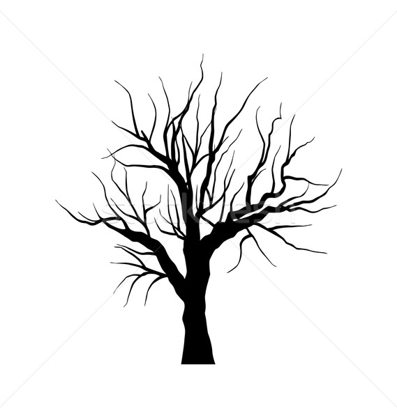 Sketch albero morto foglie isolato bianco illustrazione Foto d'archivio © smeagorl
