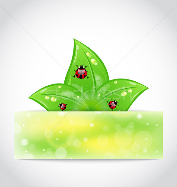 Stock photo: Eco leaves with ladybugs sticking out of the cut paper