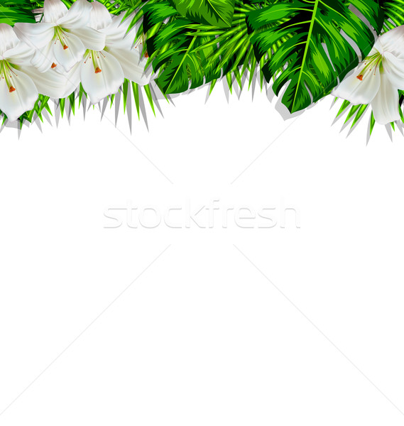 Frame branch tropical leaves and white flowers lily Stock photo © smeagorl