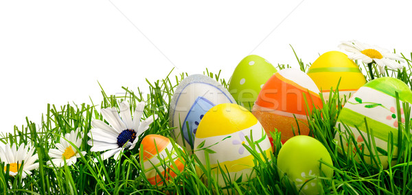 Stock photo: Easter eggs and flowers in grass, isolated