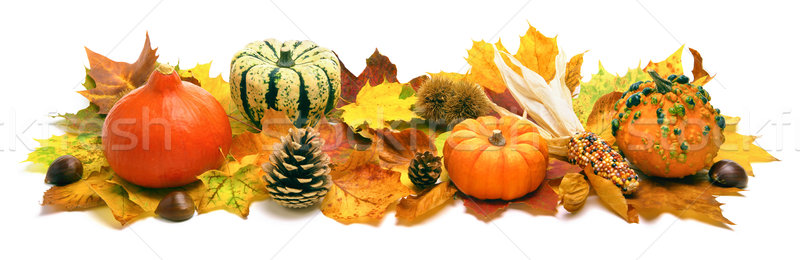 Autumn decoration banner Stock photo © Smileus