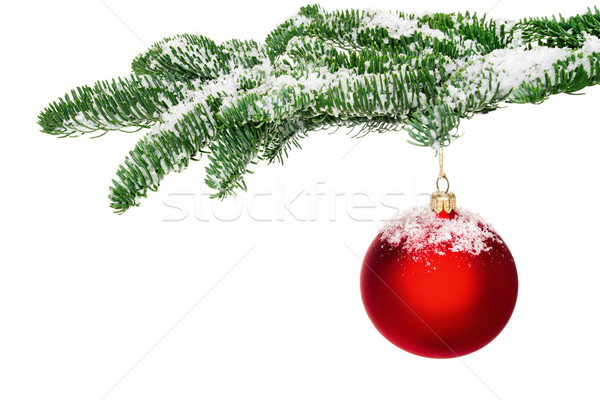 Red Christmas bauble hanging from a snow-covered twig Stock photo © Smileus