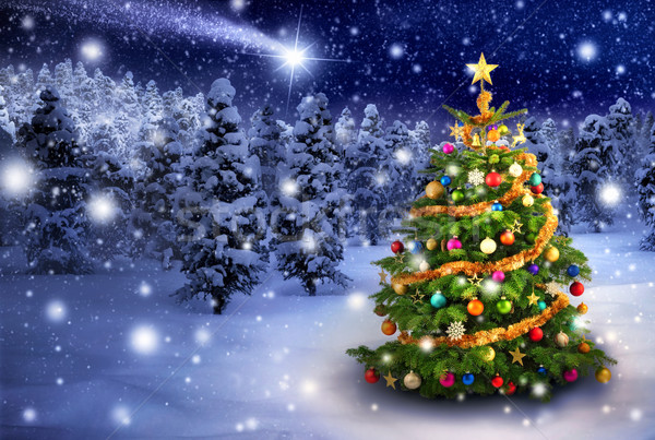 Christmas tree in snowy night Stock photo © Smileus