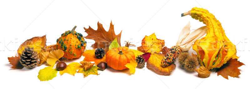 Autumn decoration arrangement Stock photo © Smileus