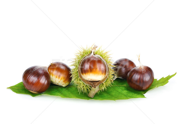 Fresh shiny chestnuts on a leaf Stock photo © Smileus