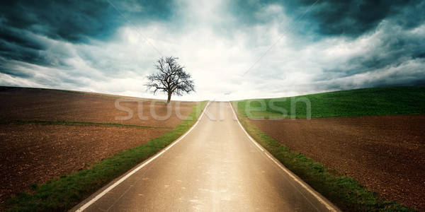 Vidéki út drámai hangulat szeszélyes út üres Stock fotó © Smileus