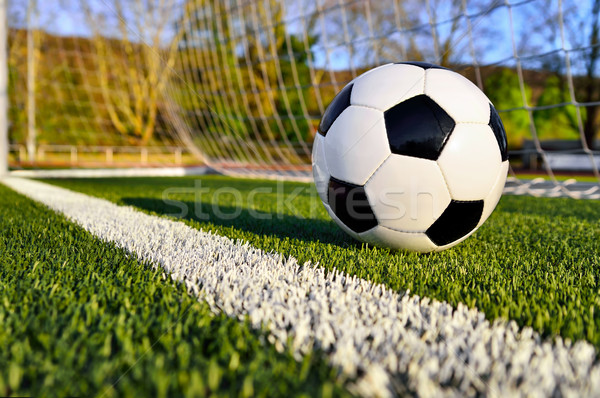 Soccer ball behind the goal line Stock photo © Smileus