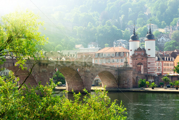The 'Old Bridge' in Heidelberg, Germany Stock photo © Smileus