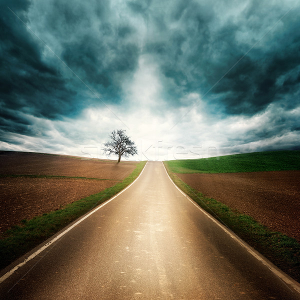 Lonely road with dramatic mood Stock photo © Smileus