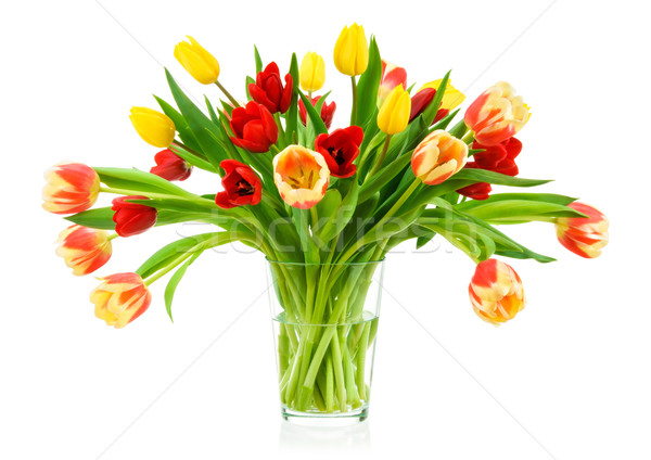 Perfeito buquê tulipas vaso colorido Foto stock © Smileus