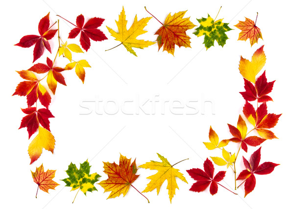 Foto stock: Colorido · hojas · de · otoño · edificio · marco · blanco