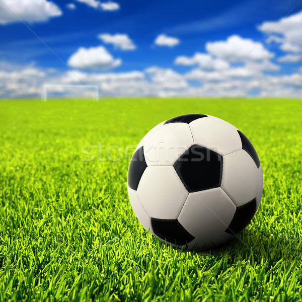 Futball üres mező futballabda óriási gyep Stock fotó © Smileus
