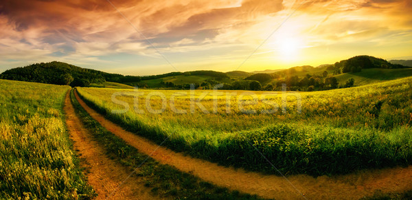 Rural landscape sunset panorama Stock photo © Smileus