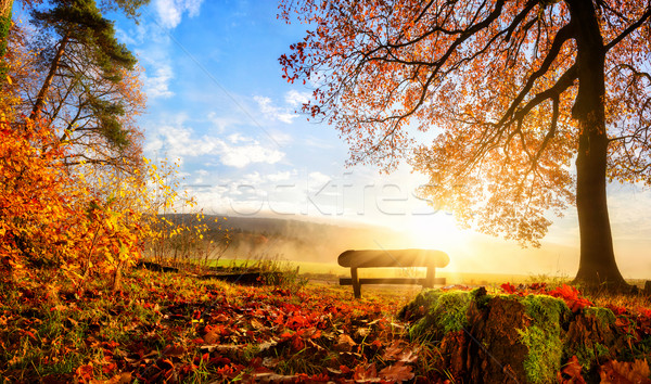 Gorgeous autumn scenery Stock photo © Smileus