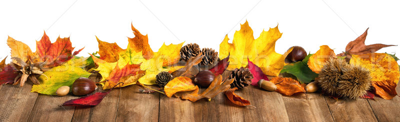 Autumn leaves on wooden table, studio isolated Stock photo © Smileus