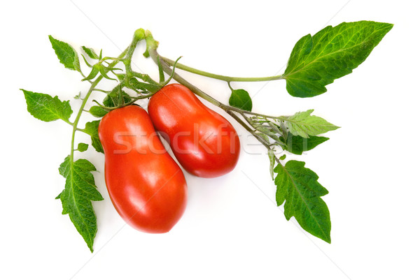 Rijp tomaten vers bladeren twee Stockfoto © Smileus