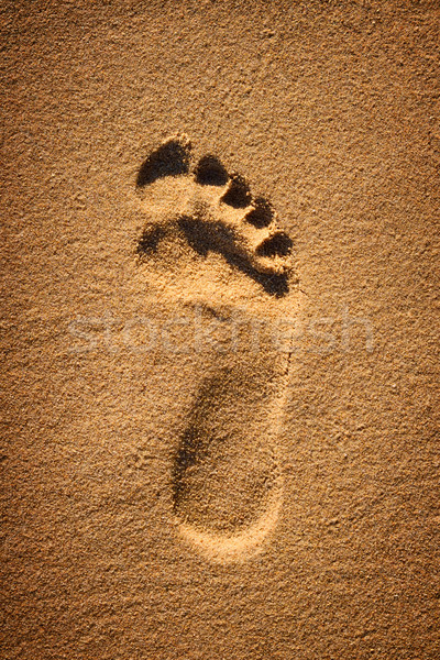 Lábnyom homok citromsárga barna tengerpart szimbólum Stock fotó © Smileus