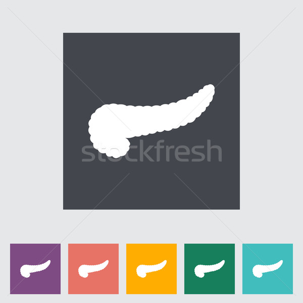 Pancreas flat icon. Stock photo © smoki