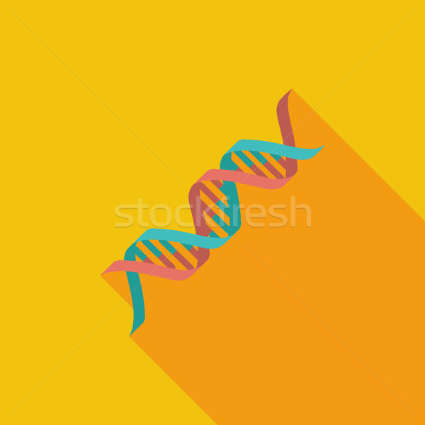 DNA icon. Stock photo © smoki