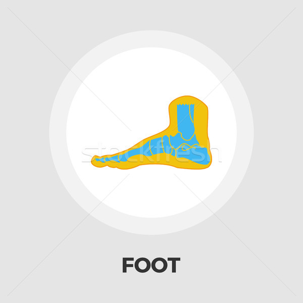 Foot anatomy flat icon Stock photo © smoki