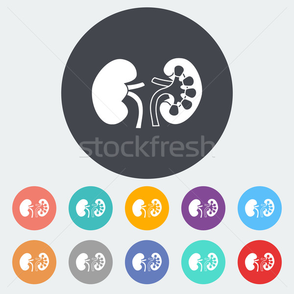 人的 腎 圖標 圓 身體 設計 商業照片 © smoki