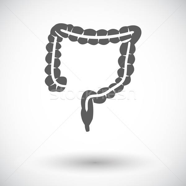кишечник икона белый медицинской здоровья Живопись Сток-фото © smoki