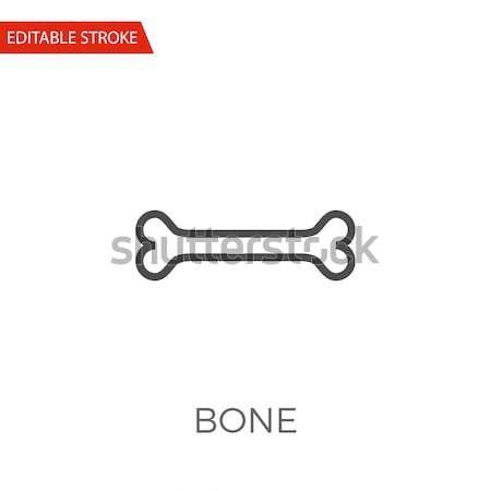 Knochen Vektor Symbol dünne line isoliert Stock foto © smoki