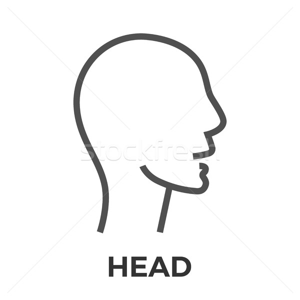 Head thin line vector icon Stock photo © smoki