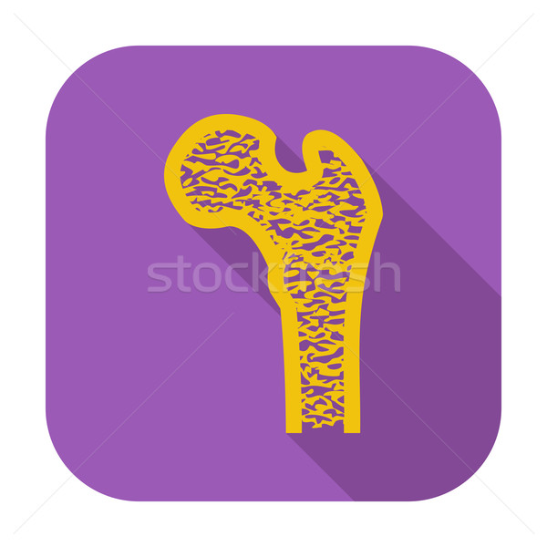 Bone icon. Stock photo © smoki