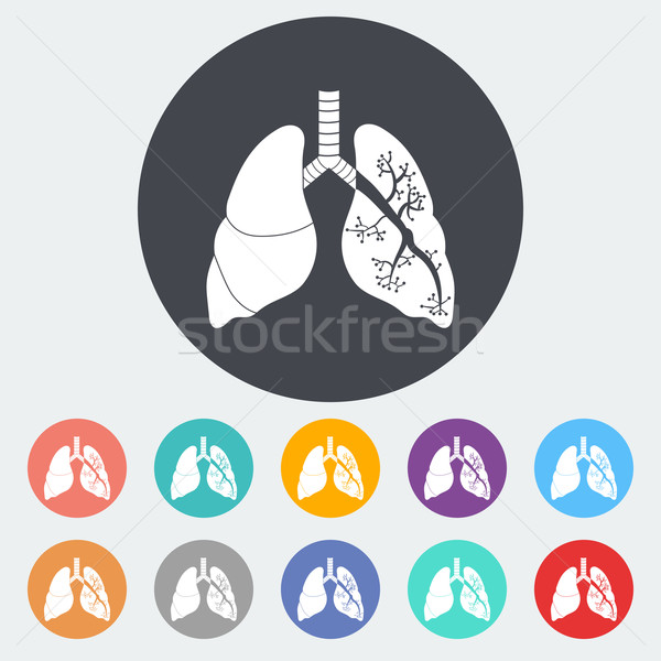 Lungs in Black and White Stock photo © smoki