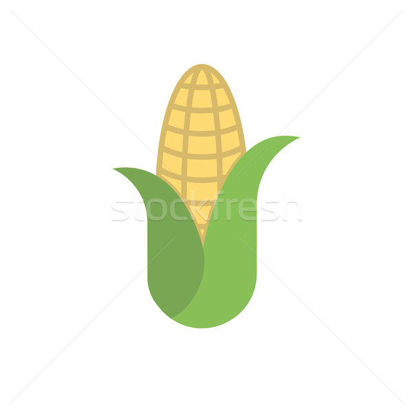 Corn Flat Vector Icon Stock photo © smoki