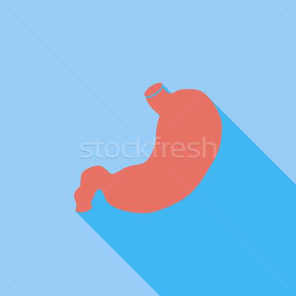 Stomach icon. Stock photo © smoki
