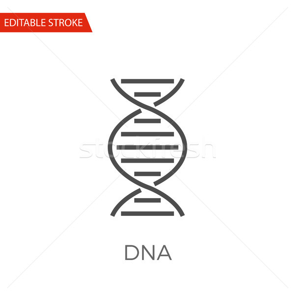 DNA Vector Icon Stock photo © smoki