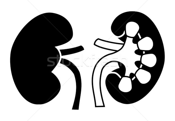 Uman rinichi icoană eps corp proiect Imagine de stoc © smoki