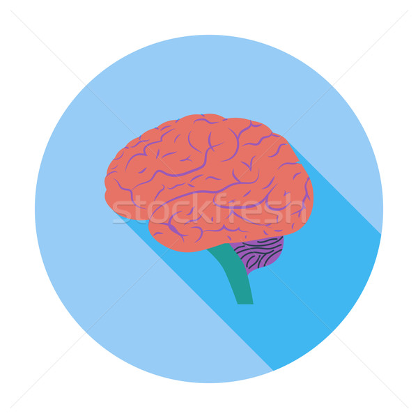Creier creierul uman corp proiect artă medicină Imagine de stoc © smoki
