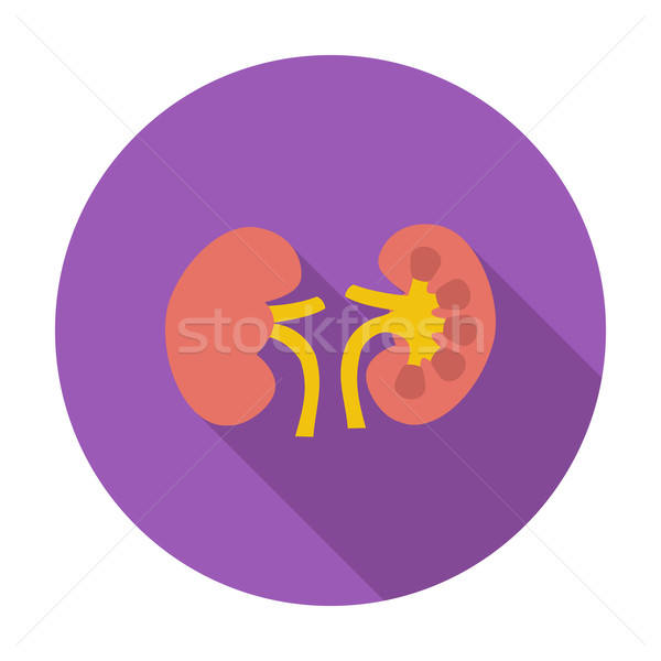 人的 腎 顏色 圖標 身體 設計 商業照片 © smoki