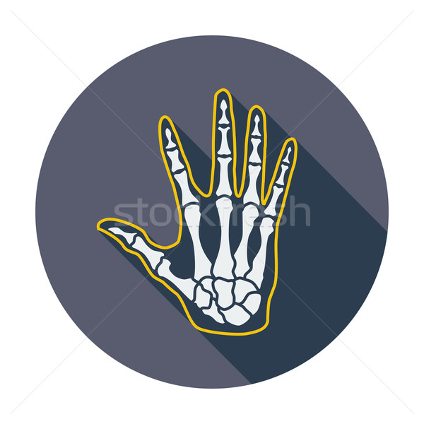 Anatomie hand kleur icon lichaam gezondheid Stockfoto © smoki
