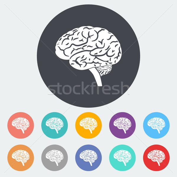Mózgu ikona kółko ciało projektu Zdjęcia stock © smoki