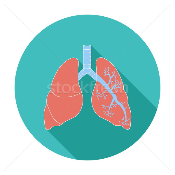 Lungs in Black and White Stock photo © smoki